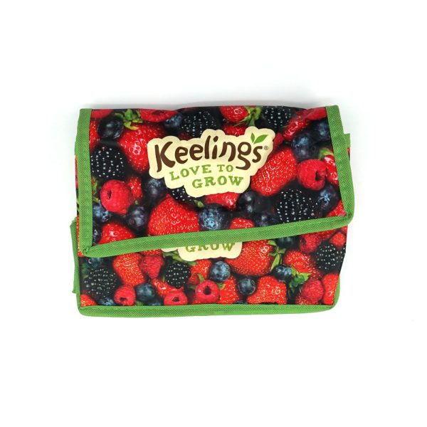 Food Storage Bag Non Woven Insulated Cooler Bag Accept Custom Printing - 图片 2