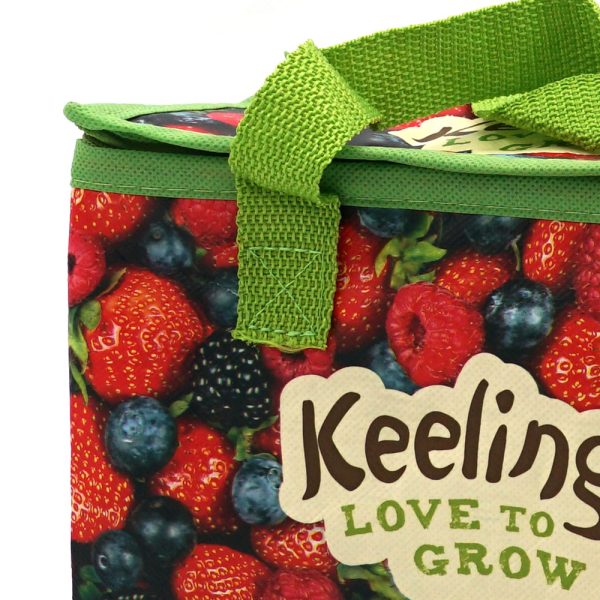 Food Storage Bag Non Woven Insulated Cooler Bag Accept Custom Printing - 图片 3