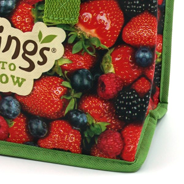 Food Storage Bag Non Woven Insulated Cooler Bag Accept Custom Printing - 图片 4
