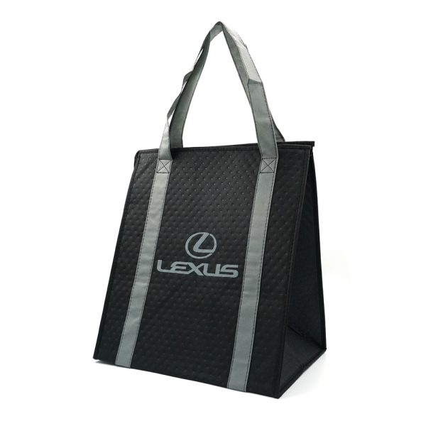 Non Woven Insulated Cooler Bag Accept Custom Printing custom made